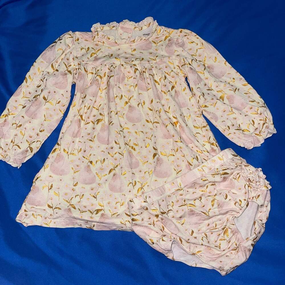 Sz 18-24 M Magnetic Me Baby Girls Pearadise Long Sleeve Dress and Bloomer Set